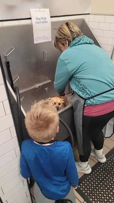 Pet Supermarket Picture 6