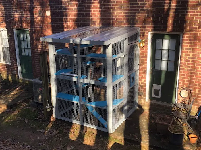 Catio BoB Picture 2