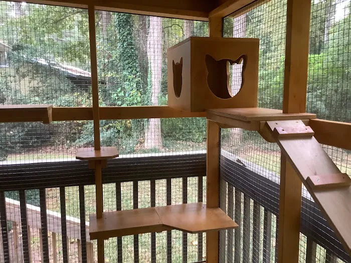 Catio BoB Picture 3