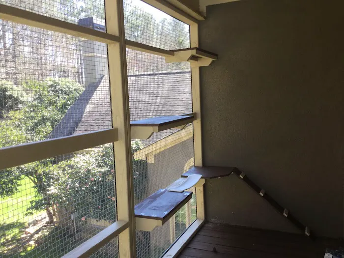 Catio BoB Picture 4