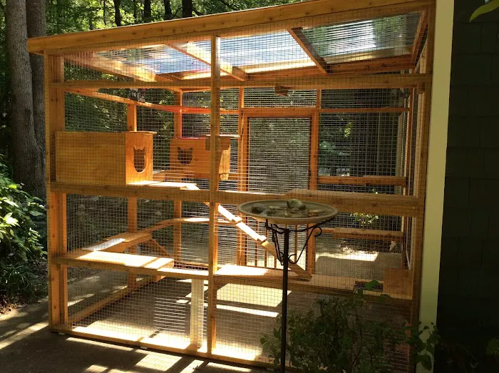 Catio BoB Picture 5