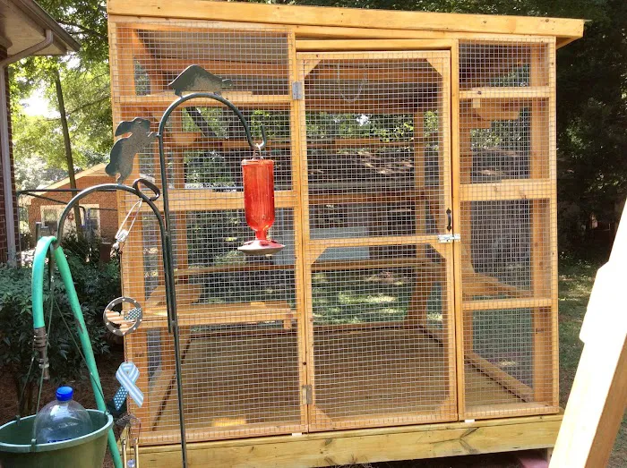 Catio BoB Picture 7