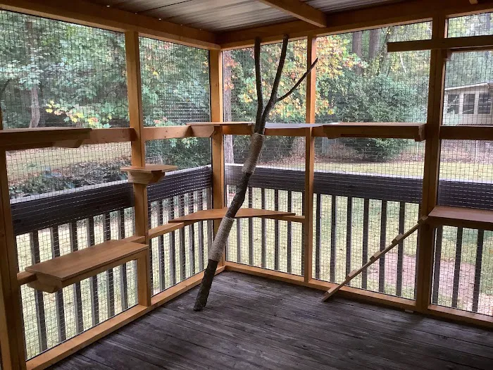 Catio BoB Picture 10