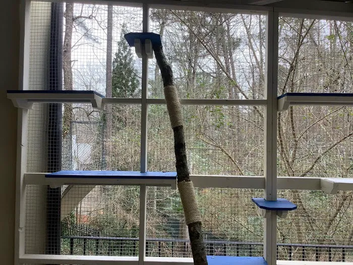 Catio BoB Picture 8