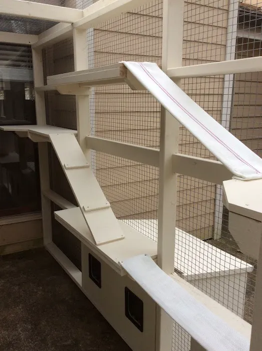 Catio BoB Picture 9