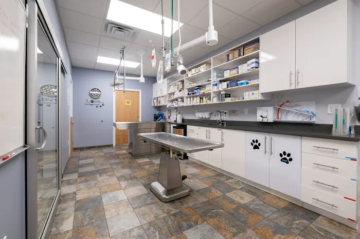West Orange Animal Hospital Picture 8