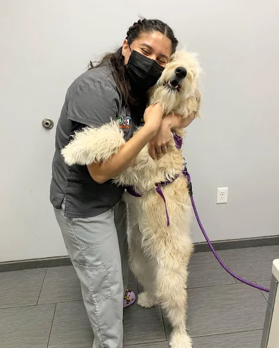 West Orange Animal Hospital Picture 6