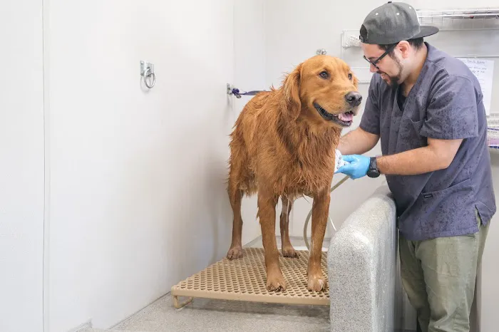 West Orange Animal Hospital Picture 4