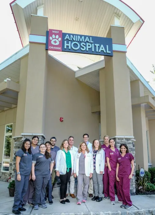 West Orange Animal Hospital Picture 3