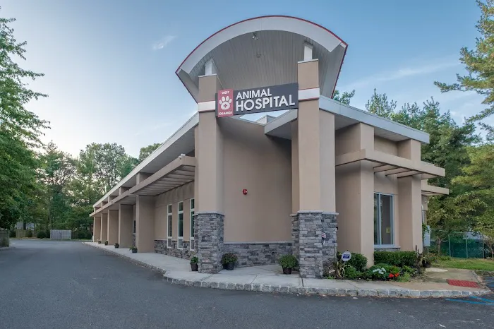 West Orange Animal Hospital Picture 10