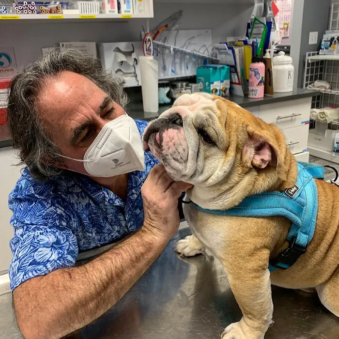 West Orange Animal Hospital Picture 5