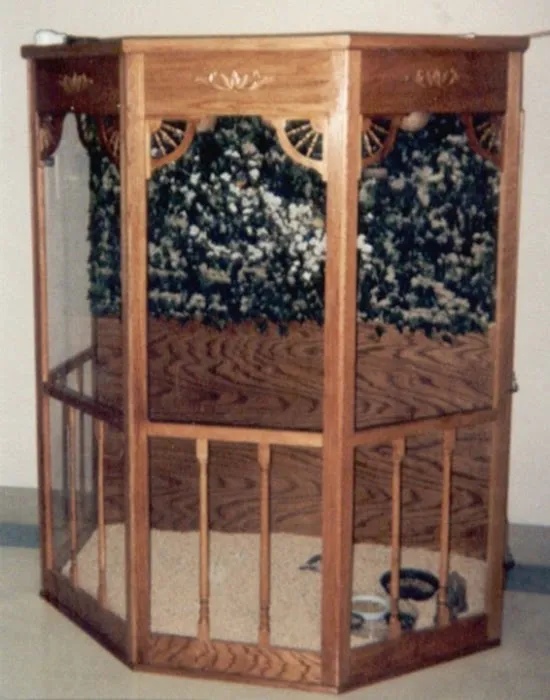 Classic Design Aviaries Picture 4