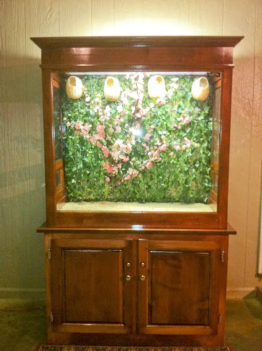 Classic Design Aviaries Picture 5