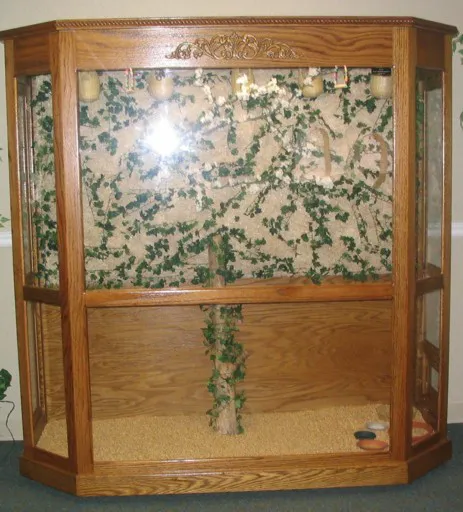 Classic Design Aviaries Picture 9