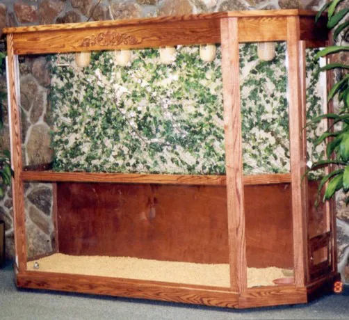 Classic Design Aviaries Picture 1