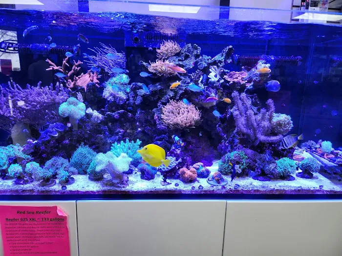 Fish Gallery - Athens Picture 4
