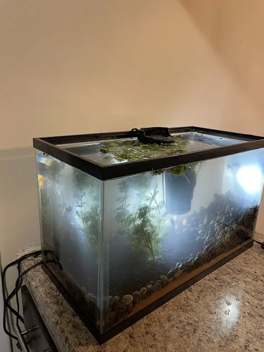 Fish Gallery - Athens Picture 2
