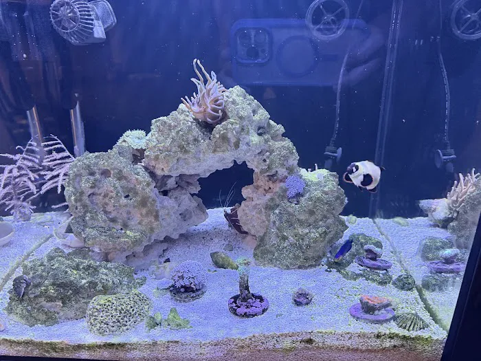Fish Gallery - Athens Picture 6