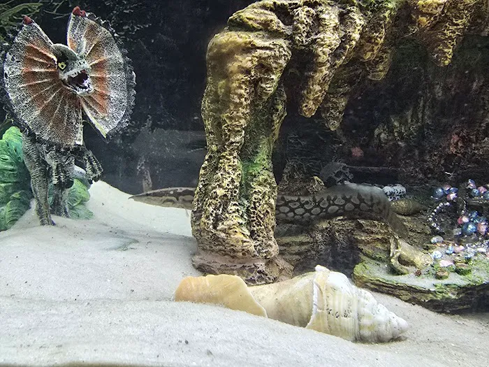 Fish Gallery - Athens Picture 10