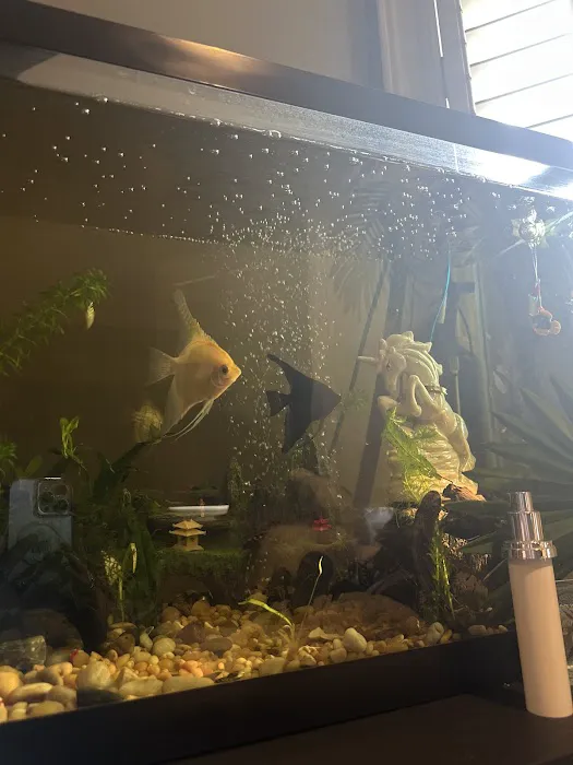 Fish Gallery - Athens Picture 9