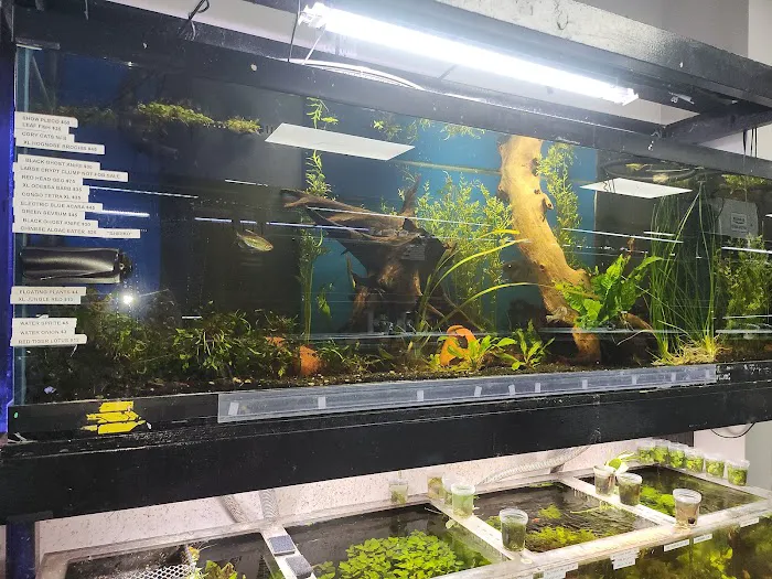 Fish Gallery - Athens Picture 7