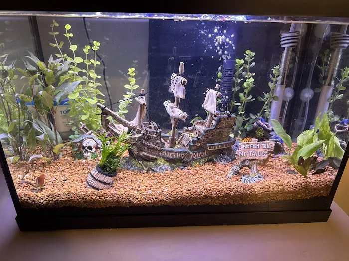 Fish Gallery - Athens Picture 8