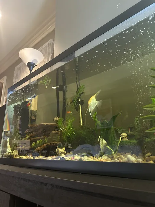 Fish Gallery - Athens Picture 5