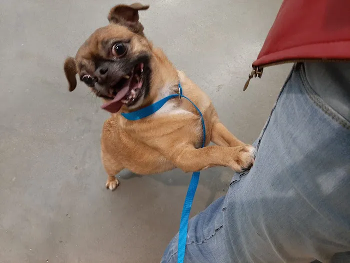 Petco Picture 2