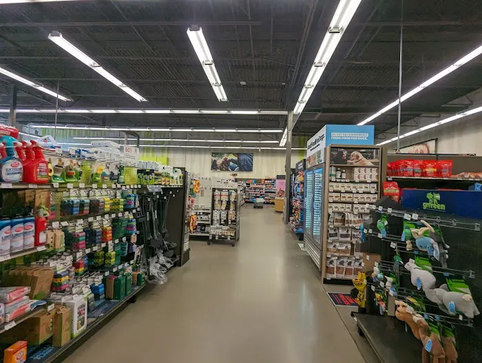 Petco Picture 1
