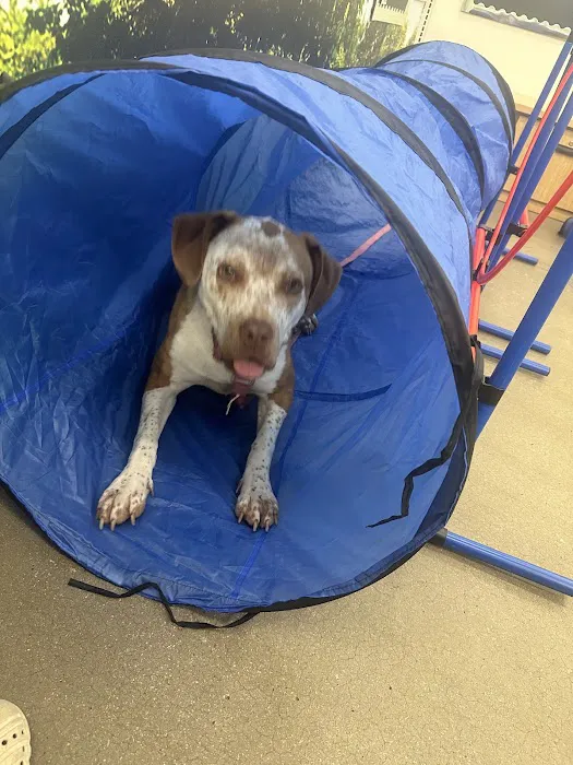 Petco Picture 6