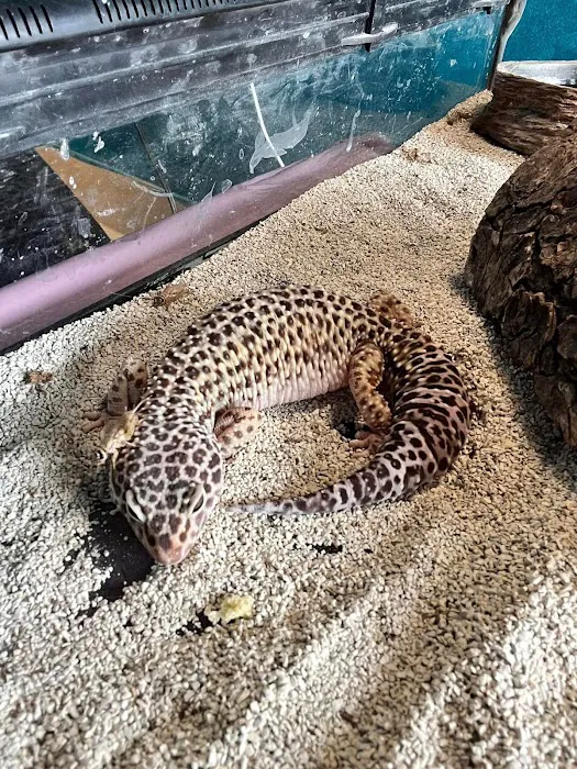 Kelly Family Pets Picture 6