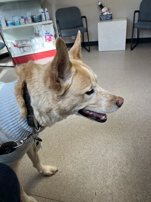 Verona Animal Hospital Picture 2