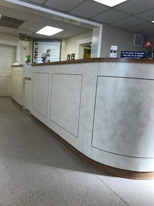 Verona Animal Hospital Picture 8