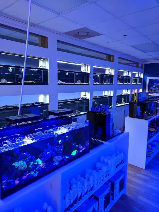 Classic City Aquariums Picture 3