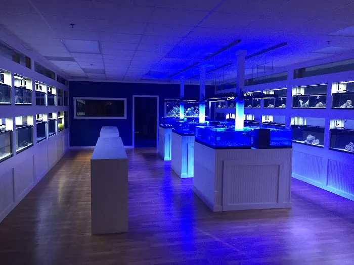 Classic City Aquariums Picture 1