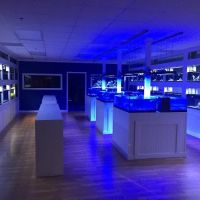 Classic City Aquariums ico