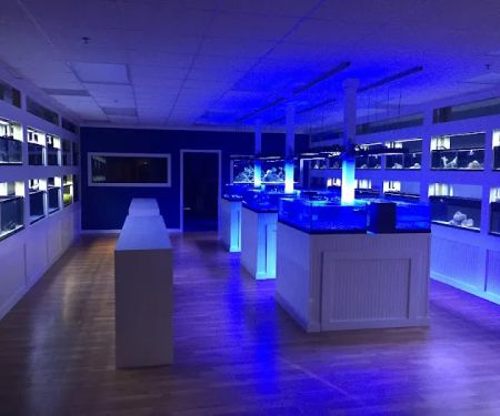 Classic City Aquariums