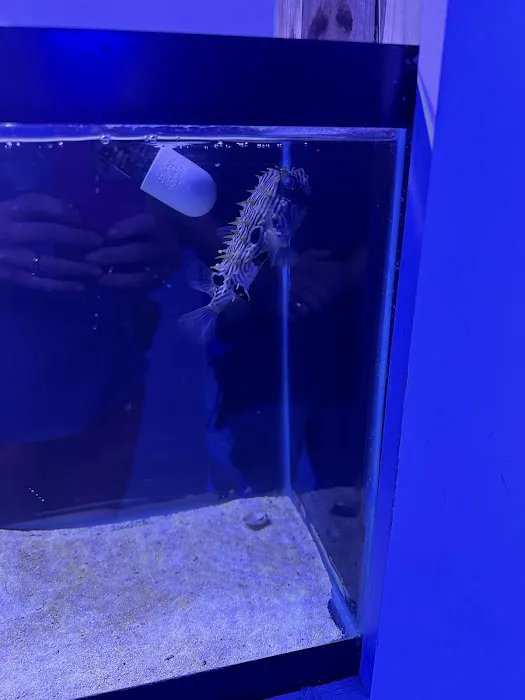 Classic City Aquariums Picture 5