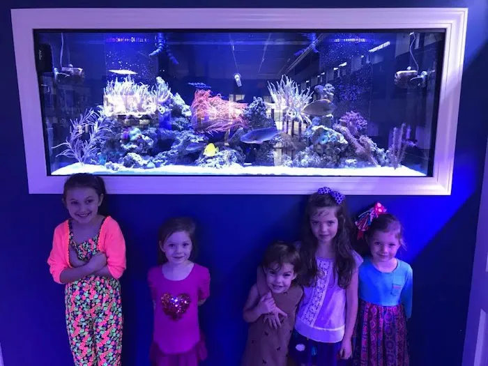 Classic City Aquariums Picture 7