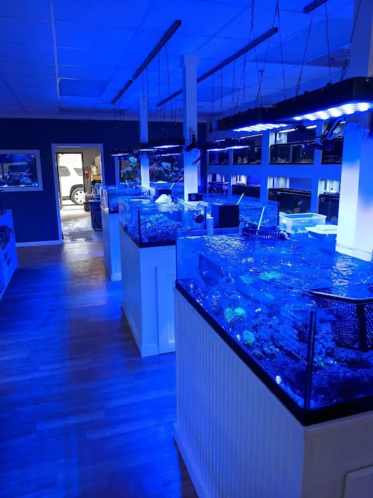 Classic City Aquariums Picture 9