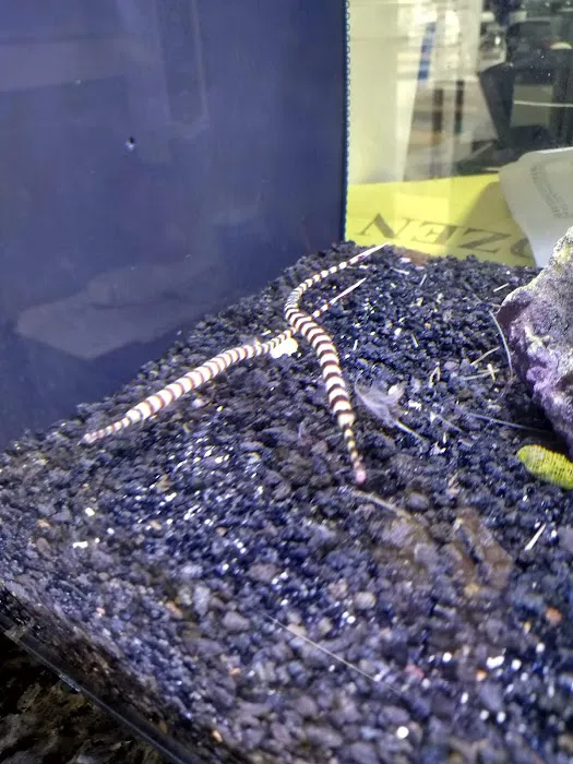 Classic City Aquariums Picture 8