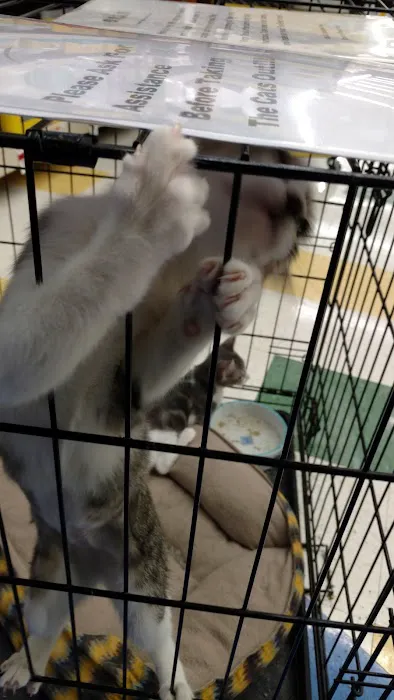 Pet Supplies Plus Athens Picture 8