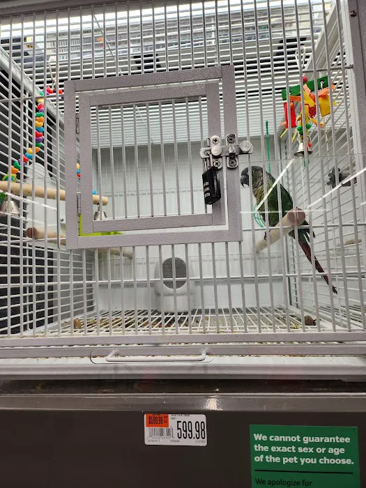 Pet Supplies Plus Athens Picture 10