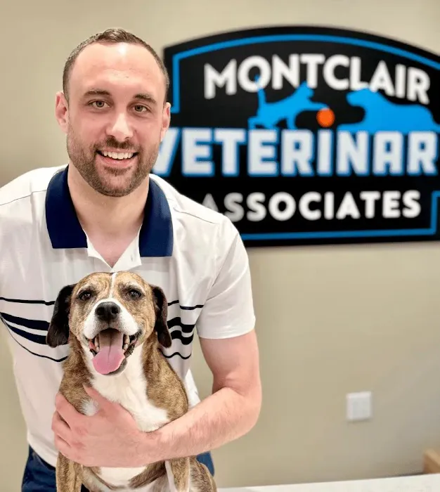 Montclair Veterinary Associates Picture 2