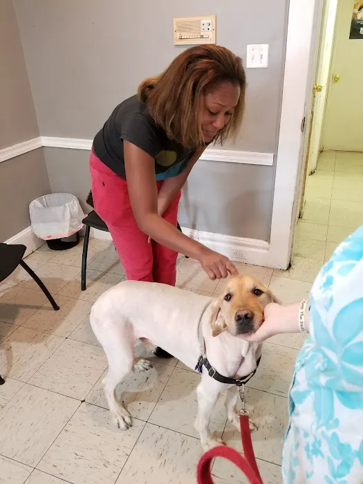 East Orange Animal Hospital Picture 1