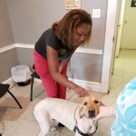 East Orange Animal Hospital