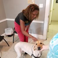 East Orange Animal Hospital ico