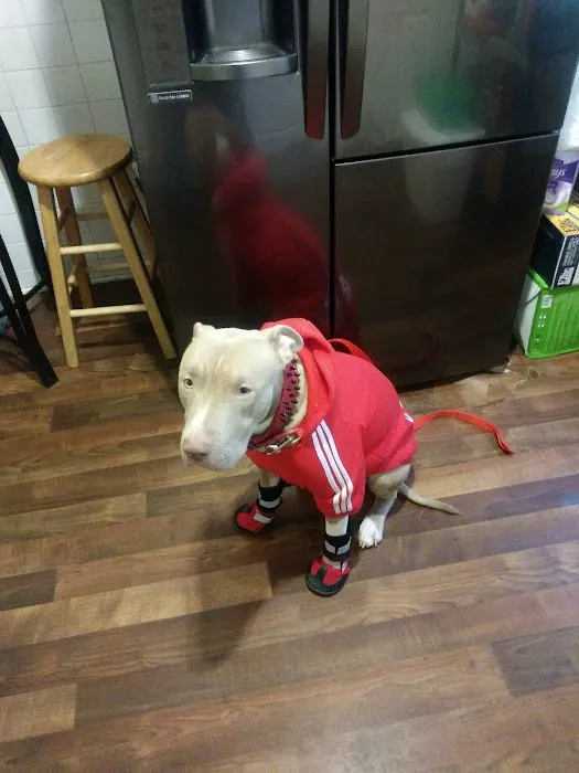 East Orange Animal Hospital Picture 6