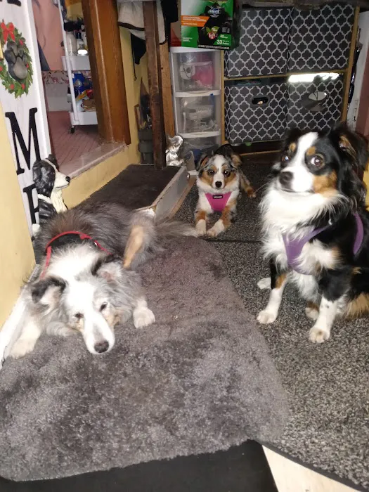 East Orange Animal Hospital Picture 8