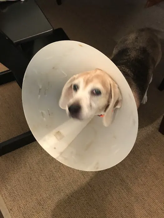East Orange Animal Hospital Picture 2